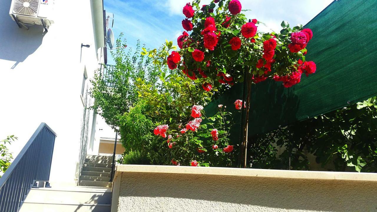 Adriatic Pearl Korcula Apartments Esterno foto